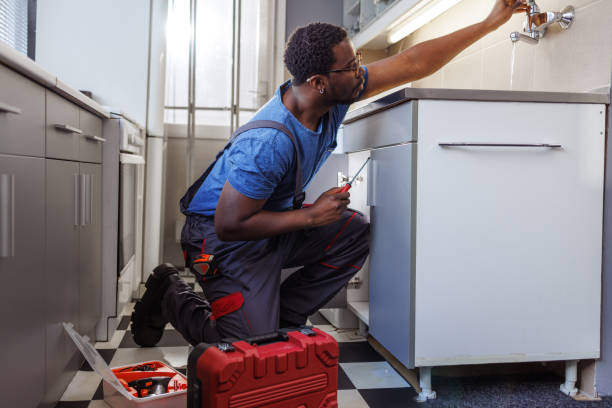 Best Local Plumber Services  in Osceola, IN