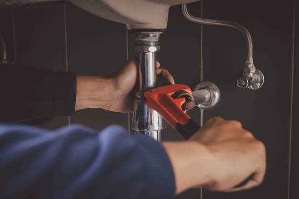 Best Clogged Drain Plumber  in Osceola, IN