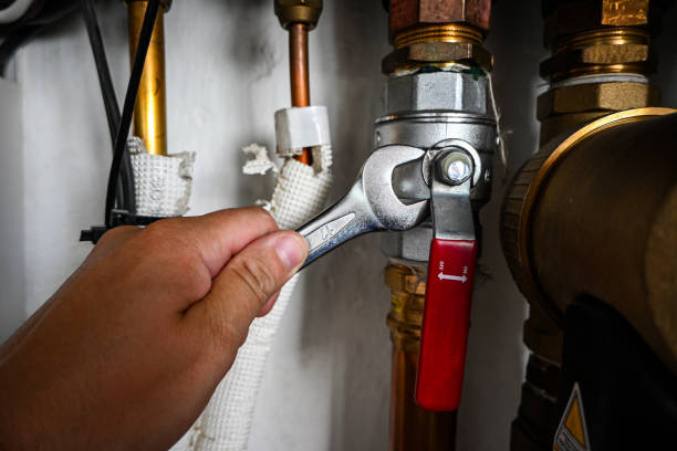 Best Plumbing Inspection Services  in Osceola, IN